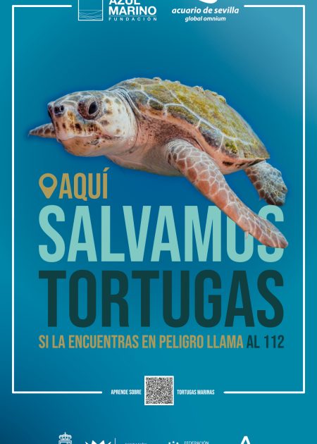1080x1920_FUENGIROLA cartel campaña tortugas