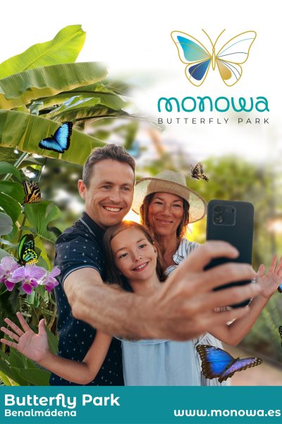 MONOWA II
