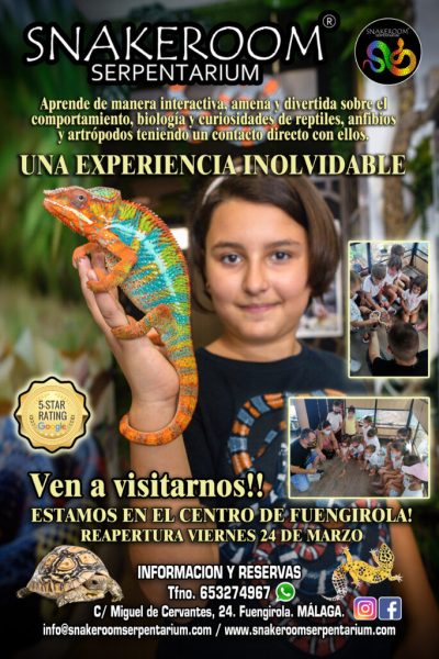 SNAKEROOM-SERPENTARIUM-718x1024